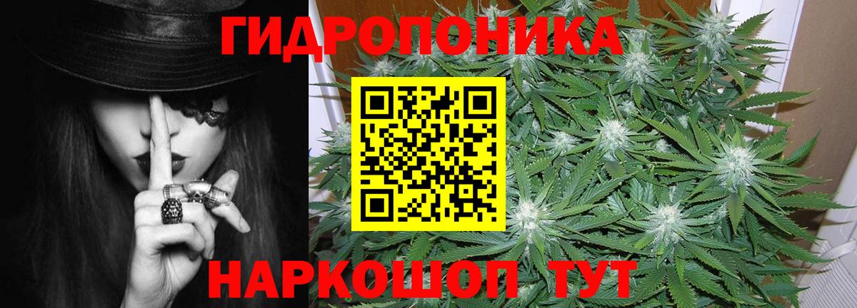 Псилоцибиновые грибы Надым